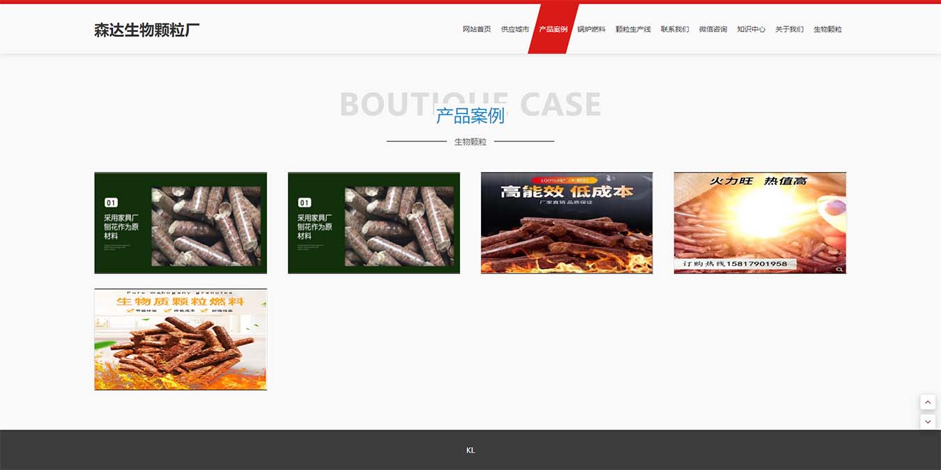 森达生物颗粒厂品牌网站建设策略与思考